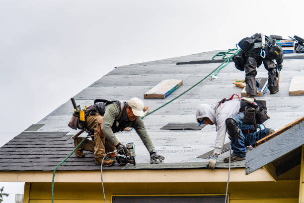 Professional Emergency Roof Repair technician working in Fairbury, IL